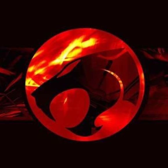 Meet your Posher, Elvio - Picture 1 of 1